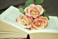 Photo of 行者将至 ｜关于SCD食疗的中文书